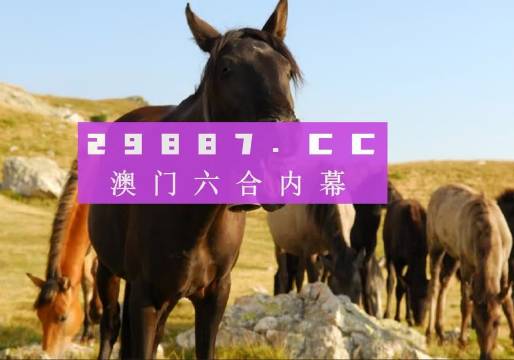 澳门管家婆一肖一码一中一开|全面释义解释落实 高端版230.304