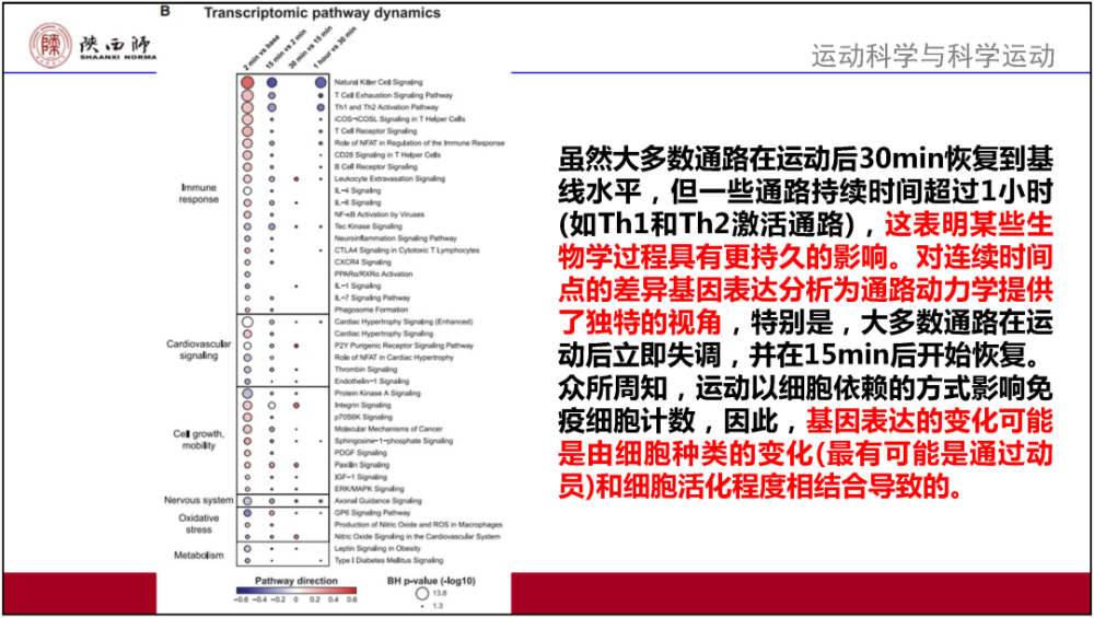 澳门六资料大全2024资料|构建解答解释落实旗舰版250.335