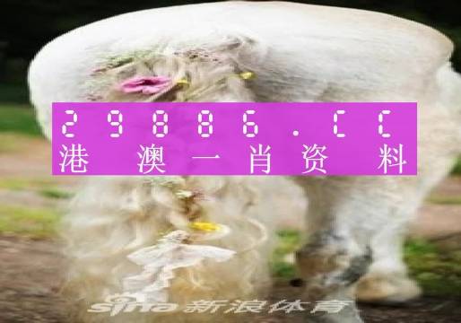 澳门一肖一码免费公开的亮点|精选解释解析落实增强版230.355