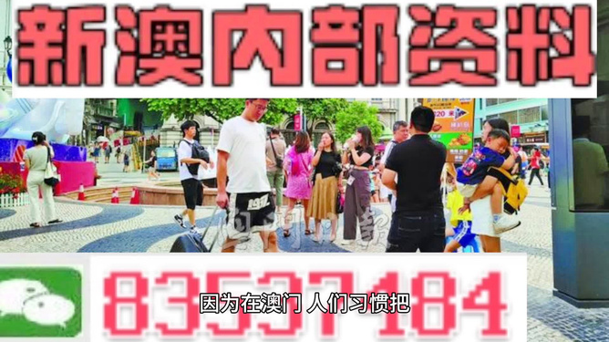 2024澳门精准正版免费资料大全大全|精选解释解析落实高效版240.300