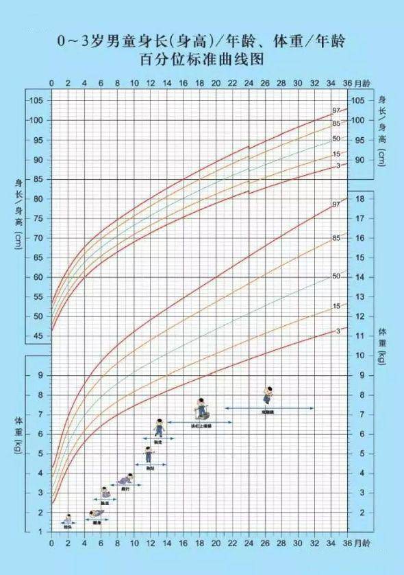 三个月新生儿体重标准及其影响因素分析