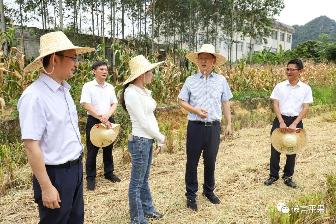 广东剑麻集团有限公司，引领行业，铸就辉煌