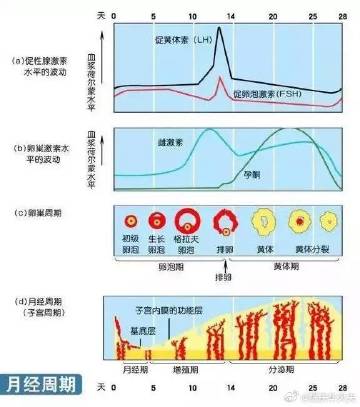 一般一个月做几次正常，探究适度频率的重要性