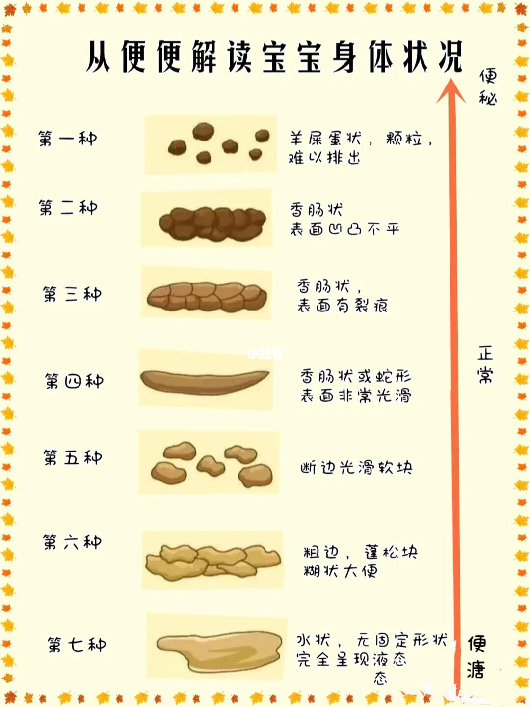 关于四个月宝宝大便次数的深度解析