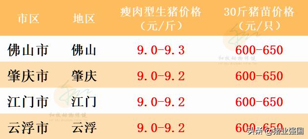 广东省最新生猪价格分析与展望