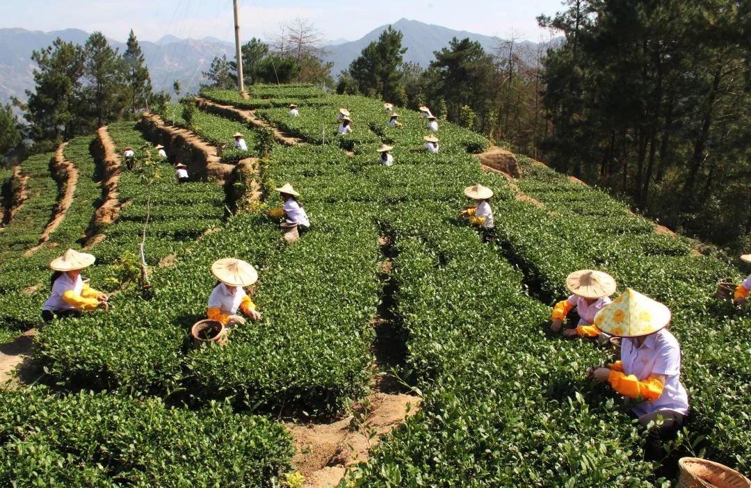 坪山，广东省的一颗璀璨明珠