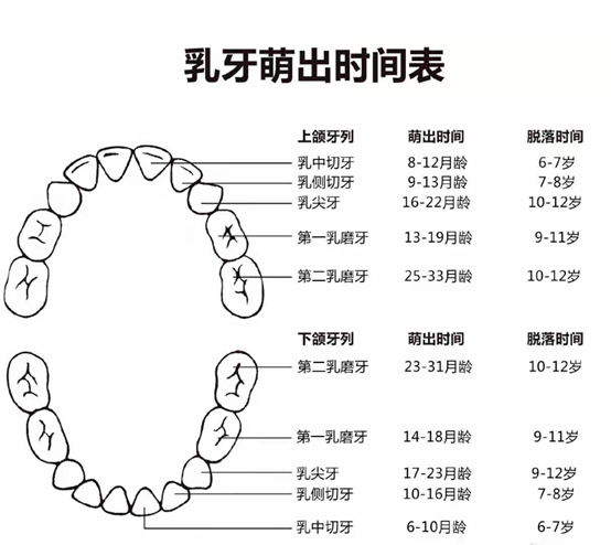 六个月宝宝的成长里程碑，探索世界的新起点