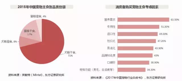 广东省东方网社会的多维视角，发展、创新与和谐共生