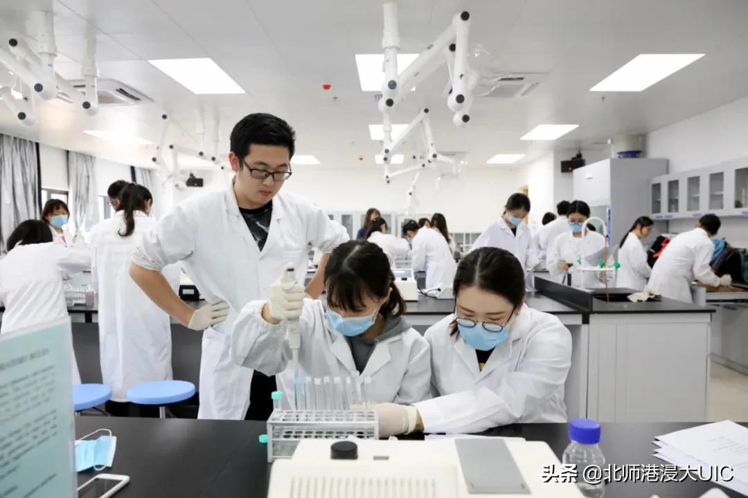 广东省创新强校工程，打造新时代的教育高地