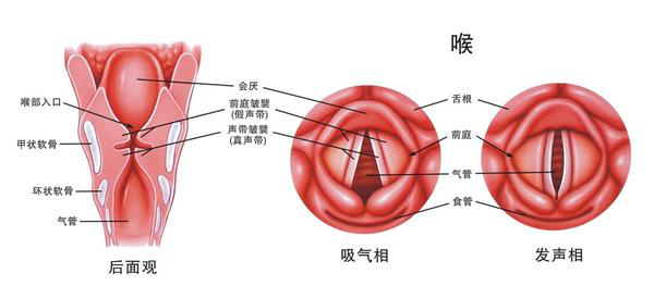 喉咙异物感一个月，探寻病因与应对之道