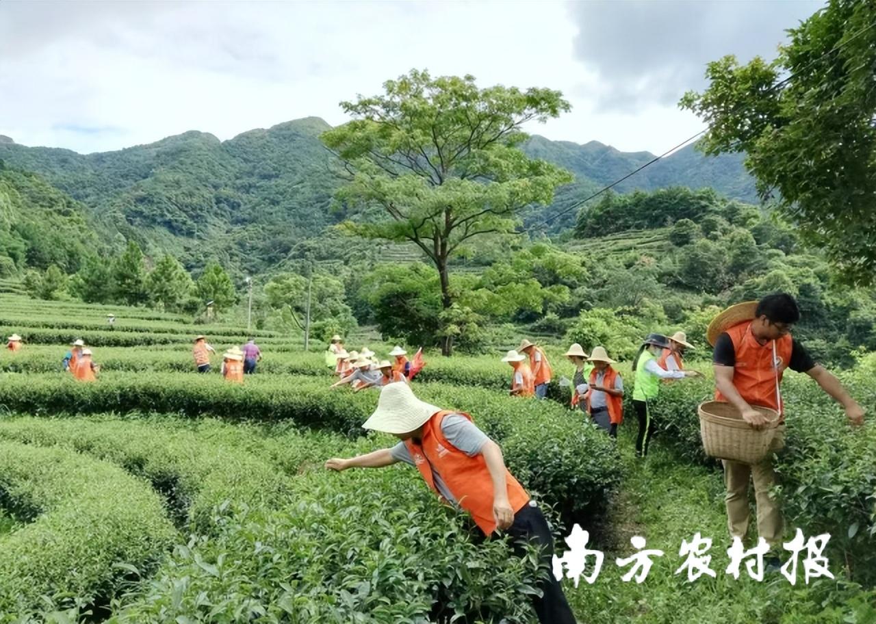 广东省农业企业名录大全，探索农业领域的繁荣与进步