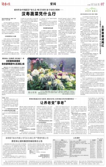 广东省乡村振兴汇总，探索与实践的丰硕成果