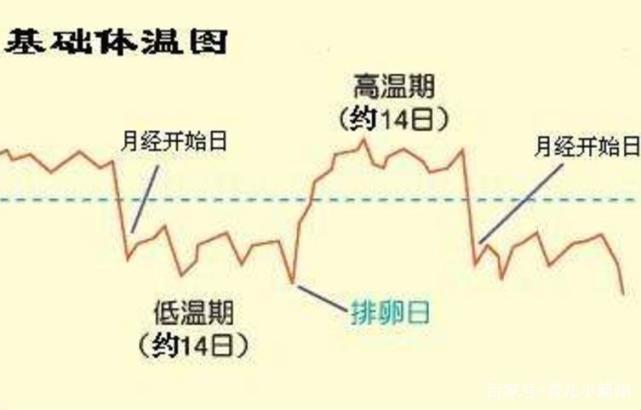 女生一个月排卵几次，生理周期的科学解析