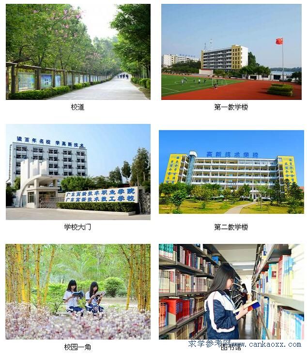 广东省高新技术技工学校深度解析