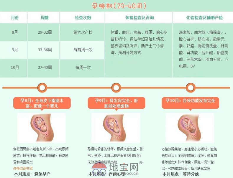 孕妇每个月检查项目表，护航母婴健康的必备指南