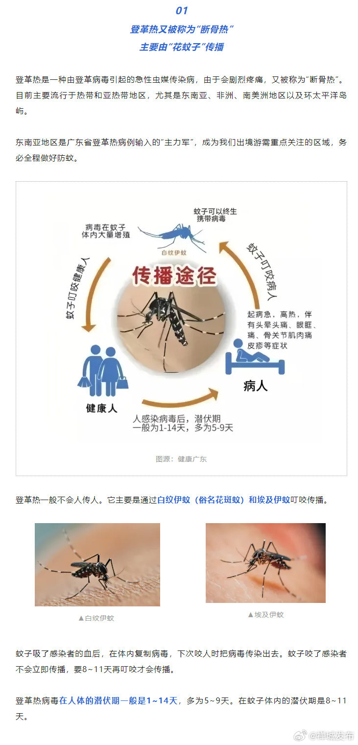 广东省登革热主要传播路径分析